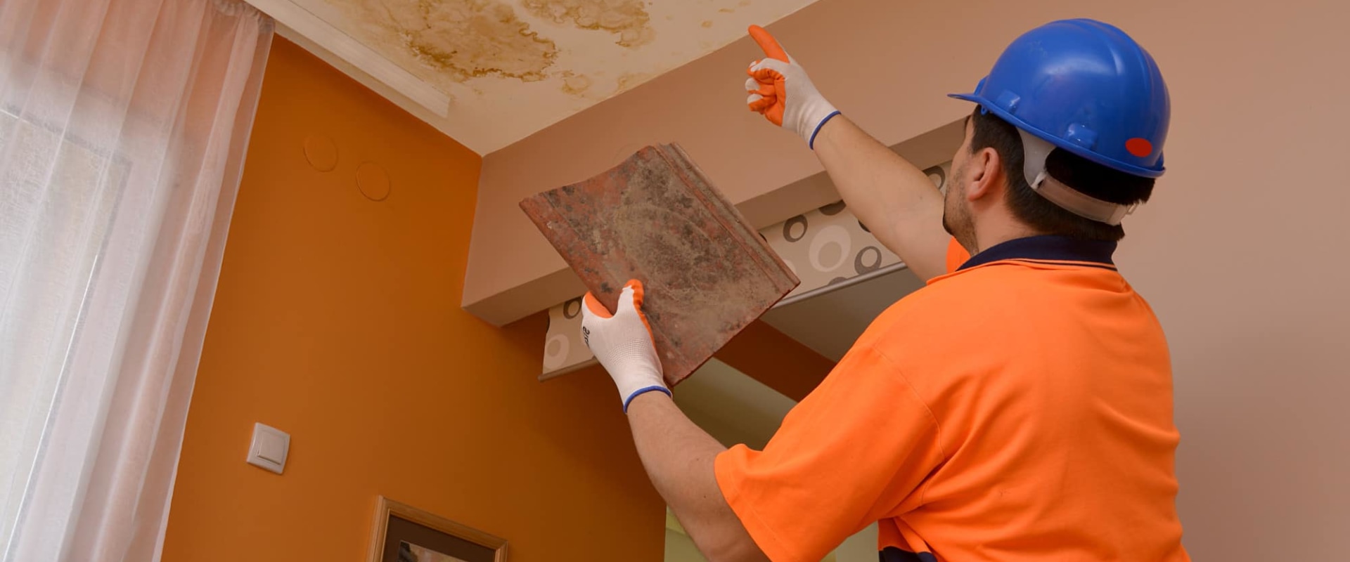 How do home inspectors check for mold?