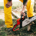 The Hidden Dangers: Why Home Inspections Should Include Stump Grinding In Bethany, Oklahoma