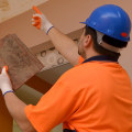 How do home inspectors check for mold?