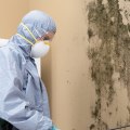 Why Mold Remediation Is Critical During Home Inspections In Central Illinois